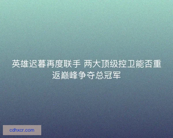 英雄迟暮再度联手 两大顶级控卫能否重返巅峰争夺总冠军